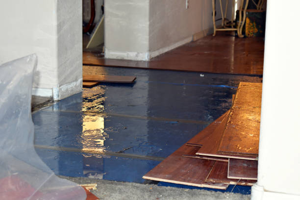 Professional Burst Pipe Cleanup technician working in South Cairo, NY